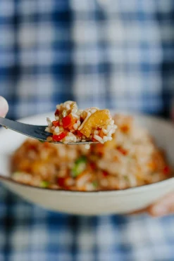 Back Country Cuisine Nasi Goreng —175 g