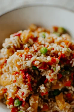 Back Country Cuisine Nasi Goreng —175 g