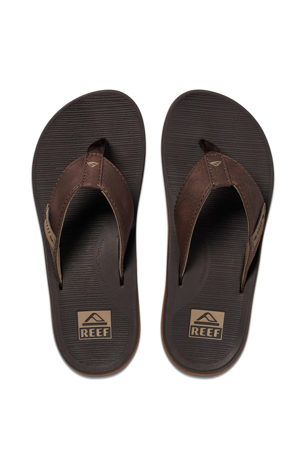 REEF® Santa Ana Men's Thongs